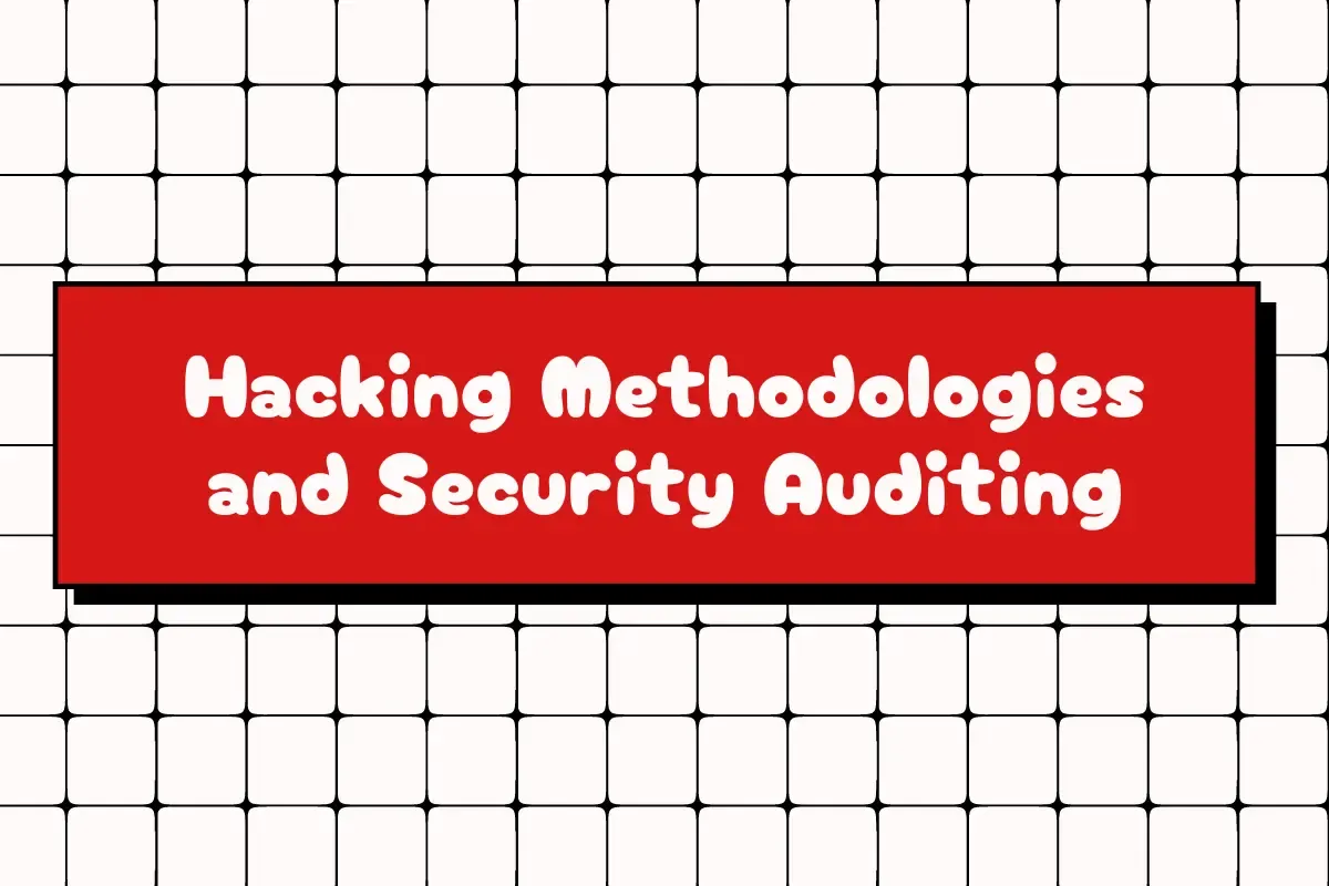 Hacking Methodologies and Security Auditing