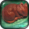 Nessled Sleeping Mouse