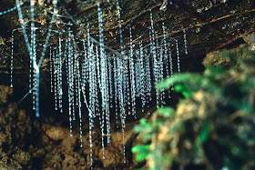 Gua Glowworm di Waitomo, Selandia Baru