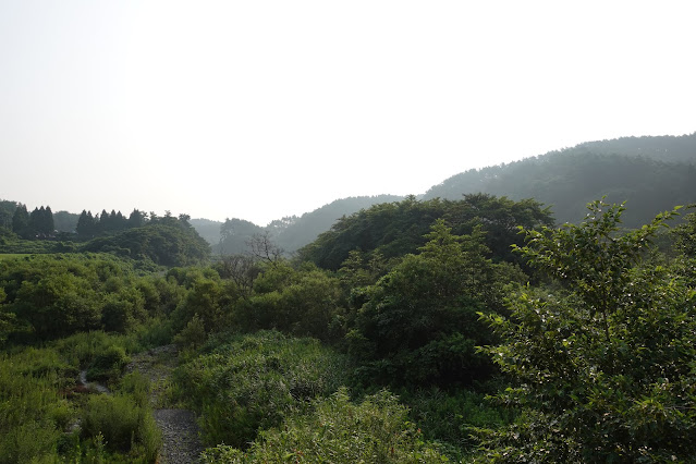 鳥取県西伯郡伯耆町丸山の地蔵滝の泉