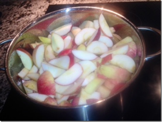 apple sauce 6