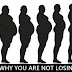 4 Reasons Why You Are Not Losing Weight