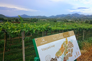 Hua Hin Hills Vineyard