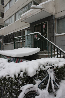 2009 beijing snowfall