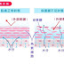 肌膚發亮的秘密第二步--保濕