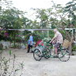View album