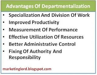 advantages-of-departmentalization