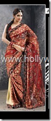 indian saari. pakistani saari. bangladeshi saari. pakistani fashion.. indian fashion. latest dresses (69)