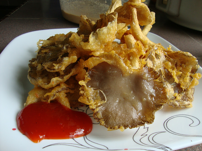 ~ "Aeinio REALitinya DI sini" ~: Cendawan Goreng Tepung