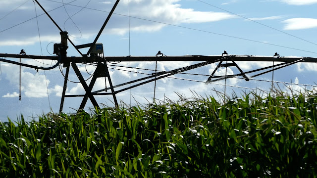 Irrigator