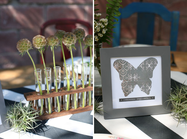  you to consider using butterflies everywhere at your wedding except for 