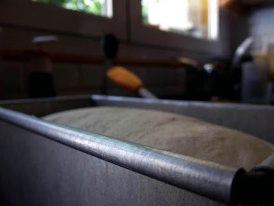 Pan de leche en molde con masa madre levando