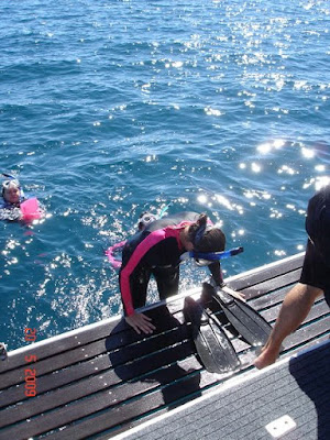 Swimming with Whale Sharks Ningaloo Reef Western Australia