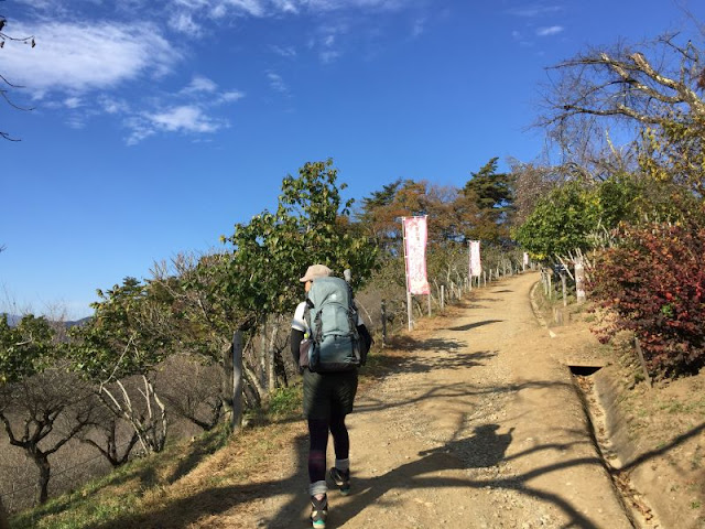 宝登山のロウバイ園付近