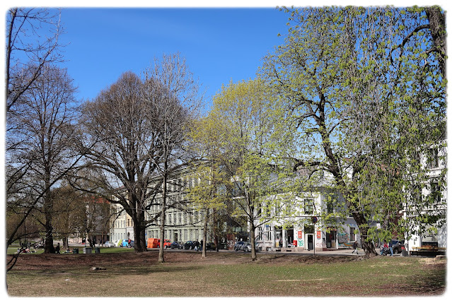 Fint når det våres i Sofienbergparken på Grünerløkka i Oslo!