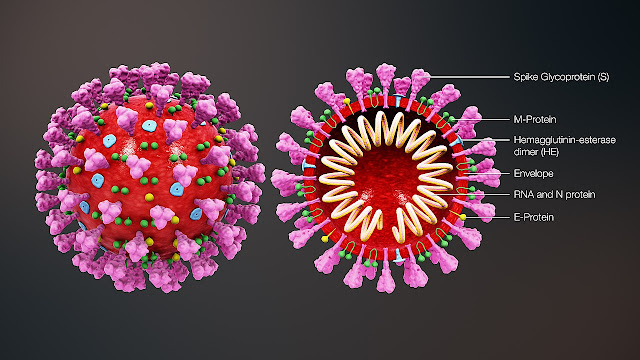 India is fighting strongly against Coronavirus