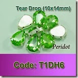 T1DH6 copy