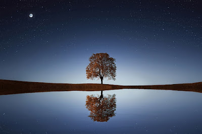 image: https://pixabay.com/photos/tree-lake-stars-reflection-water-838667/