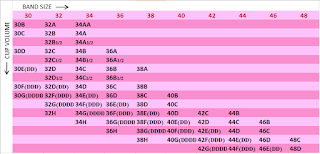 Various standard sizes for strapped and strapless bras