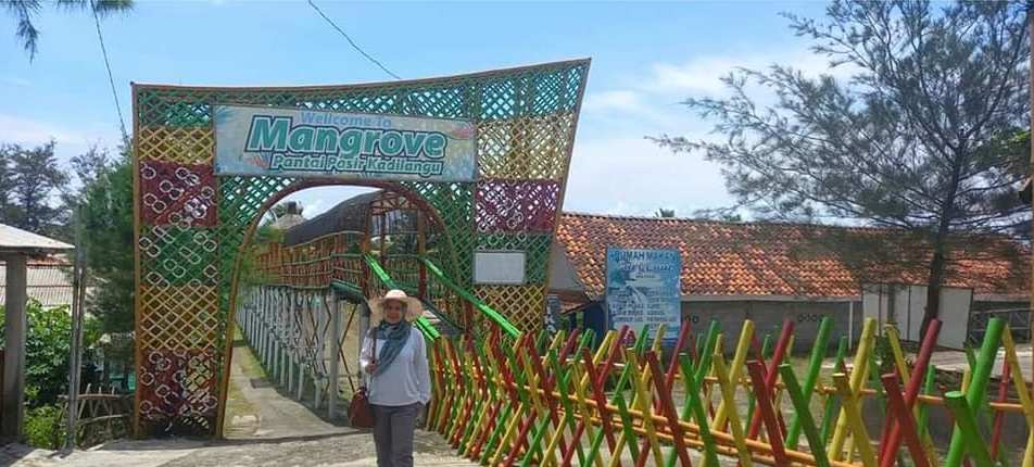 Wisata Hutan Mangrove Kulon Progo Yogyakarta