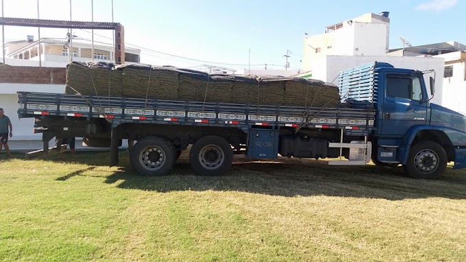 Tapetes de grama chegam ao estádio Áureo Bradley