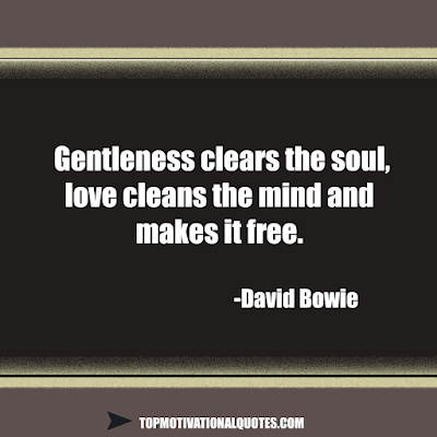 Gentleness clears the soul, love cleans the mind and makes it free. David Bowie - Inspirational lines on soul and love