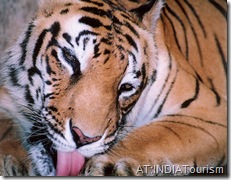 AT:INDIATourism.blogspot.com : wildlife sanctuaries