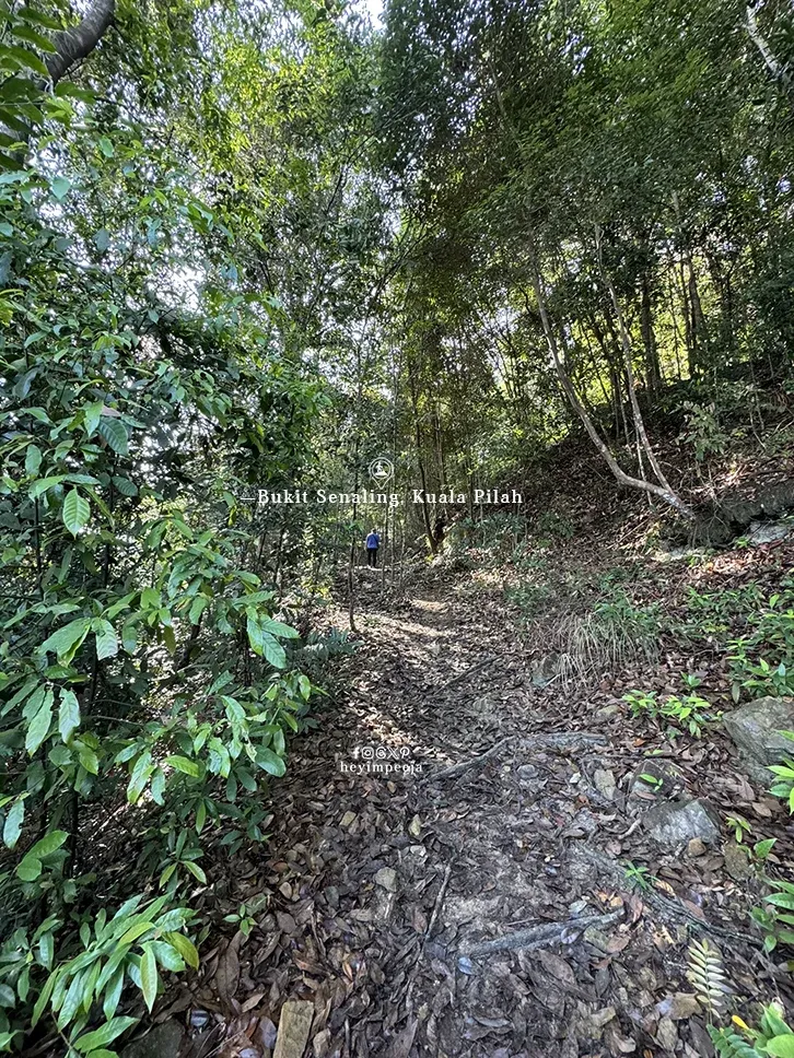 Hiking Bukit Senaling Kuala Pilah