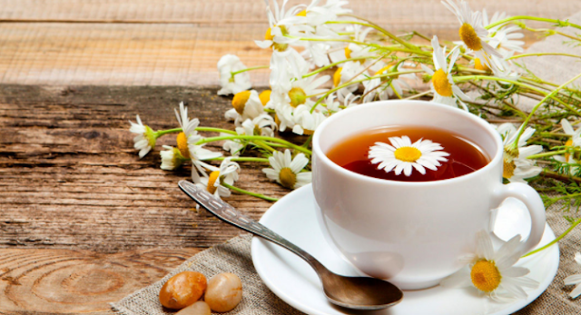 Trà hoa cúc là một trong những loại trà giúp cơ thể giải độc gan rất tốt