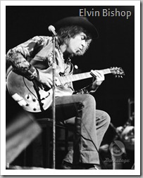 Elvin Bishop 008