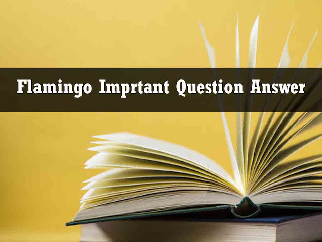 12th English Important Question Answer Flamingo Chapter 05