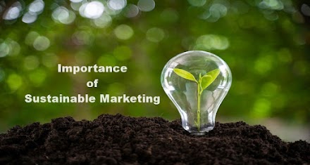 The Importance of Sustainable Marketing in 2022
