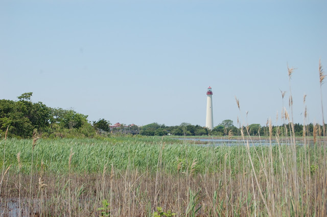 Cape May Lighthouse seen from Cape May Point State Park