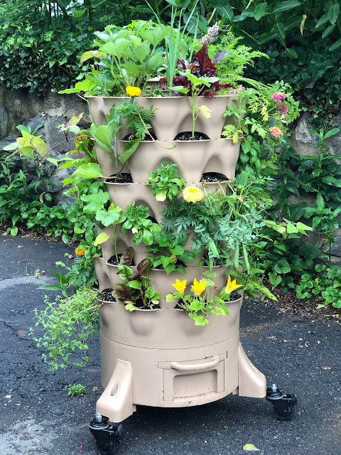 Garden Tower Project - The Best Patio Small Space Vertical Growing Container For Home, Backyards & Driveways