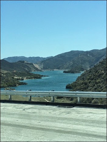 cell pics 061