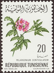  1969 Pelargonium Denticulatum,  شمعدانی/ Republique Tunisienne