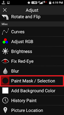 Geser kebawah,klik Opsi "Paint Mask/Selection".
