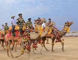 Border security force