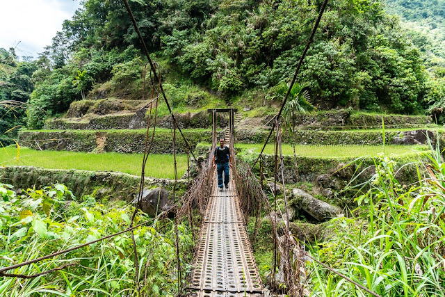 Ifugao-Luçon-Philippines