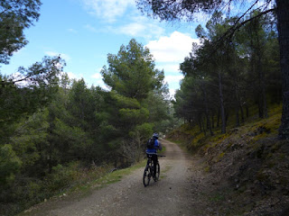 Barranco de las Salinas