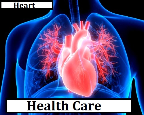 Human Heart Circulatory System-Works-Diseases