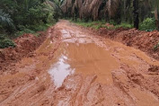 Jalan Penghubung Rawas Ilir – Nibung Rusak Warga Harapkan Ada Perbaikan