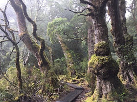 Cradle Mountain, Tasmania