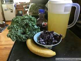 picture of ingredients used to make a Raspberry Kale Lemonade Slushy