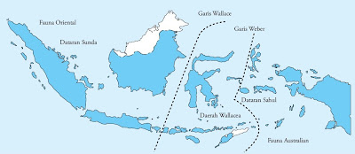 Wilayah Indonesia yang terdiri dari beribu Pintar Pelajaran Persebaran Flora (Tumbuhan) dan Fauna (Hewan) di Indonesia