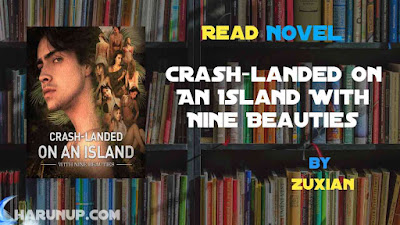 Crash-landed On An Island With Nine Beauties Novel