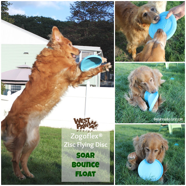 durable dog toys for powerful chewers