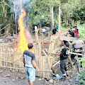 Satu Terduga Pelaku Sabung Ayam Ditangkap Polisi, Arena Judi Dibakar