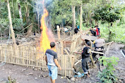 Satu Terduga Pelaku Sabung Ayam Ditangkap Polisi, Arena Judi Dibakar