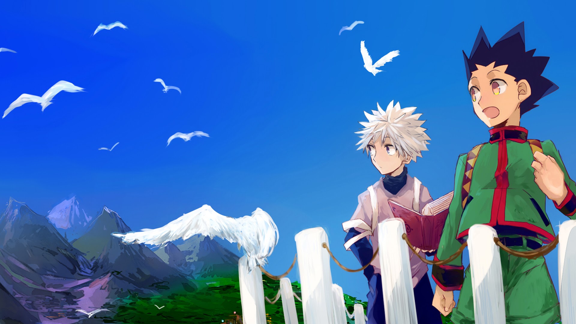 Hunter X Hunter Gon and Killua